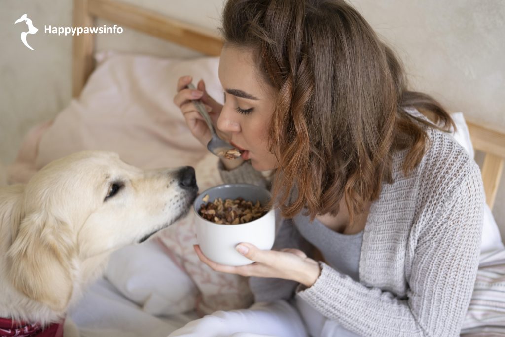 Top Healthy Treats for Dogs: Nutritious & Delicious Options